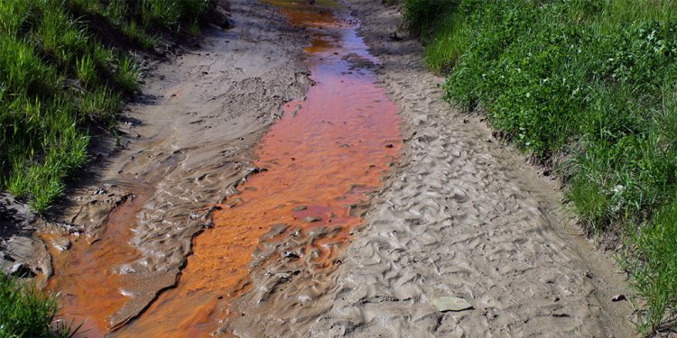 Did President Trump Make It Legal to Dump Coal Mining Waste Into