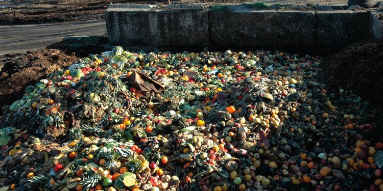 Food Waste Crackdown | Green Initiatives