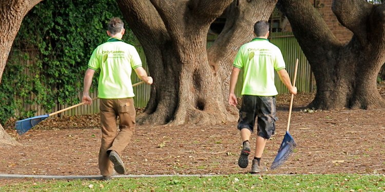 Garden Cleanup Specialists in Sydney | OnlyGreens