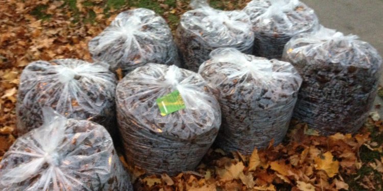 Halifax homeowners getting rejection stickers on leaf bags - Nova