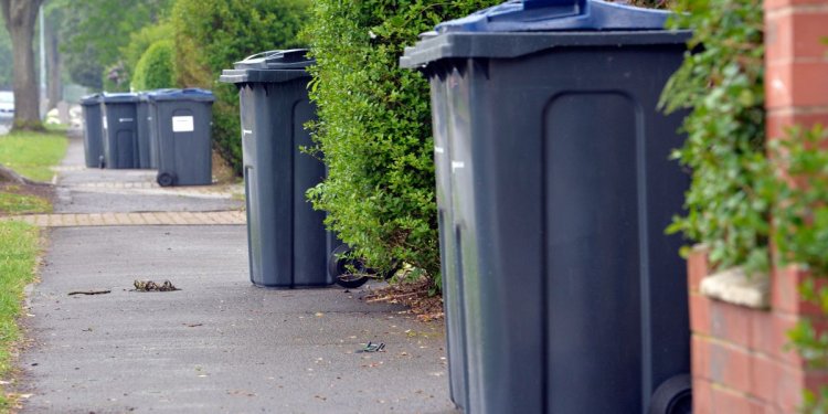 Weekly bin collections and rewards for recycling considered for