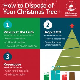 christmas tree infograph