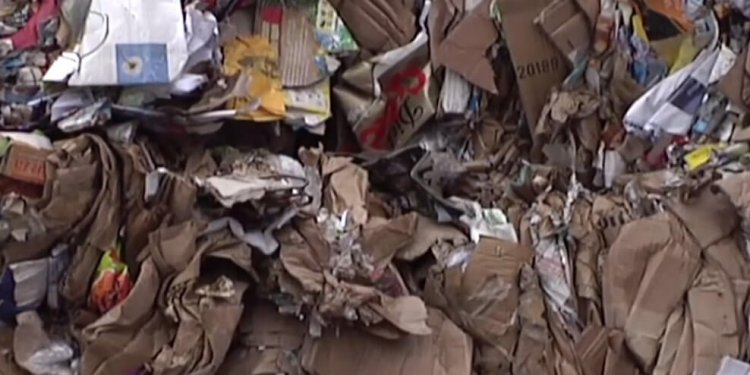 Cardboard Waste Disposal