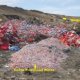 Medical Waste Disposal Colorado