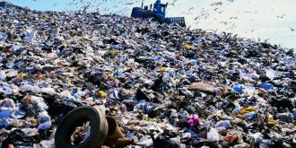 rubbish dumps sydney