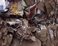 Cardboard Waste Disposal