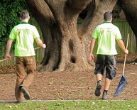 Green Waste Disposal Sydney